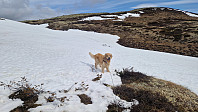 Rostro_20250531_683ae27a85e35.jpg