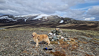Rostro_20250531_683ae27bde386.jpg