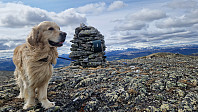 Rostro_20250531_683ae286ba930.jpg
