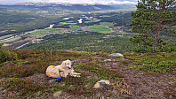 Rostro_20250601_683c5fdbd17ec.jpg
