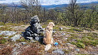 Rostro_20250607_68444a72e5442.jpg
