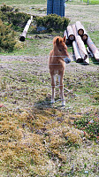 Rostro_20250607_68444a79234fe.jpg