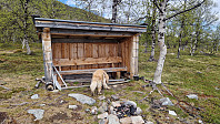 Rostro_20250609_6846d24fe9ed2.jpg