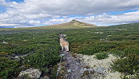 Rostro_20250622_6857322872cd1.jpg