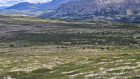 Rostro_20250622_6857322a020d8.jpg