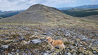 Rostro_20250622_6857fb93319cf.jpg