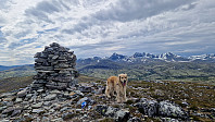 Rostro_20250622_6857fb94c09c5.jpg
