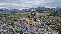 Rostro_20250622_6857ff4e71bc2.jpg