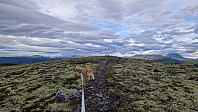 Rostro_20250630_6862e653a35e9.jpg