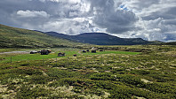 Rostro_20250706_686a60f39e11b.jpg