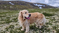 Rostro_20250706_686a60f7cf0ce.jpg