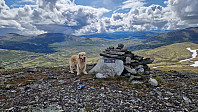 Rostro_20250706_686a60f960343.jpg