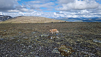 Rostro_20250706_686a60fc8dbf7.jpg