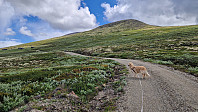 Rostro_20250706_686a640105fc3.jpg