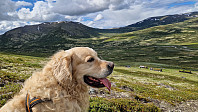 Rostro_20250706_686a64028c794.jpg
