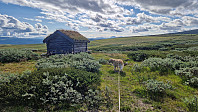 Rostro_20250726_6884f4132ac23.jpg