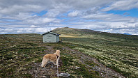 Rostro_20250726_6884f41cb6e41.jpg