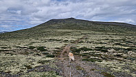 Rostro_20250726_6884f41e31f2e.jpg
