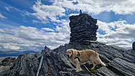 Rostro_20250726_6884f41fc03b4.jpg