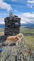 Rostro_20250726_6884f4229bc76.jpg