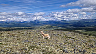 Rostro_20250726_6884f4274f467.jpg