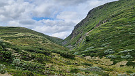 Rostro_20250726_6884f6b90e93f.jpg