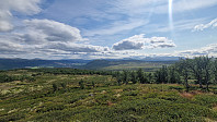Rostro_20250809_689778bb1cdd4.jpg