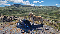 Rostro_20250817_68a1fd1a78ec4.jpg