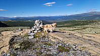 Rostro_20250817_68a1fd1d61468.jpg