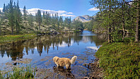Rostro_20250824_68ab1e67d02de.jpg