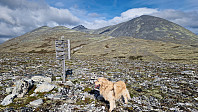 Rostro_20250824_68ab1ea127289.jpg