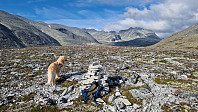 Rostro_20250824_68ab1ec68e3c3.jpg