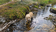 Rostro_20250824_68ab1ee5a4e1c.jpg
