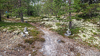 Rostro_20250824_68ab1ef1910c2.jpg