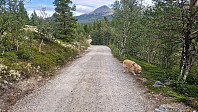 Rostro_20250824_68ab1eff921ef.jpg