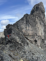 Trlegen_20240726_66a3c64867e70.jpg