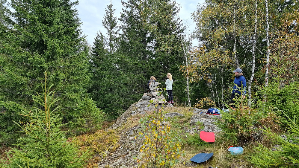 Toppunktet