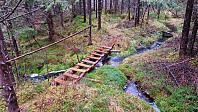 Hellispellis_20211231_61cee2810b341.jpg