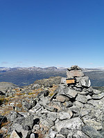 Gråhøa