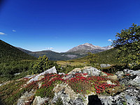 Grasdalen