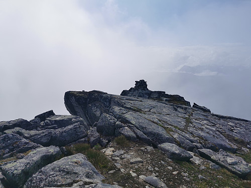Grøvelnebba