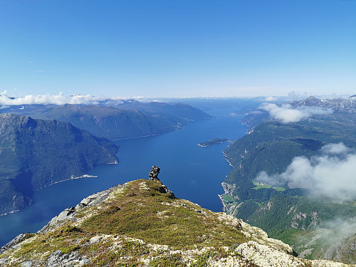 Fulånebba