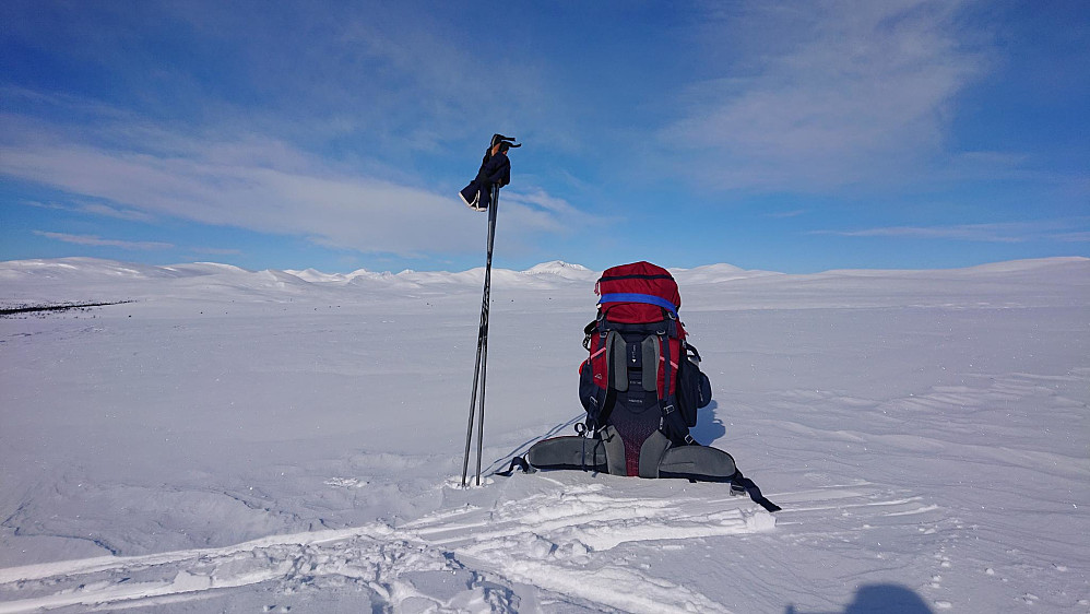 Tilbakeblikk mot Rondane. Foto Per Hunnes Hansen