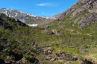 Løbergsdalen
