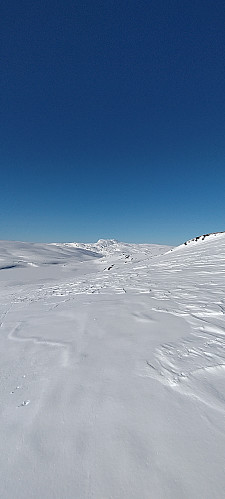 Kvitanosi i det fjerne