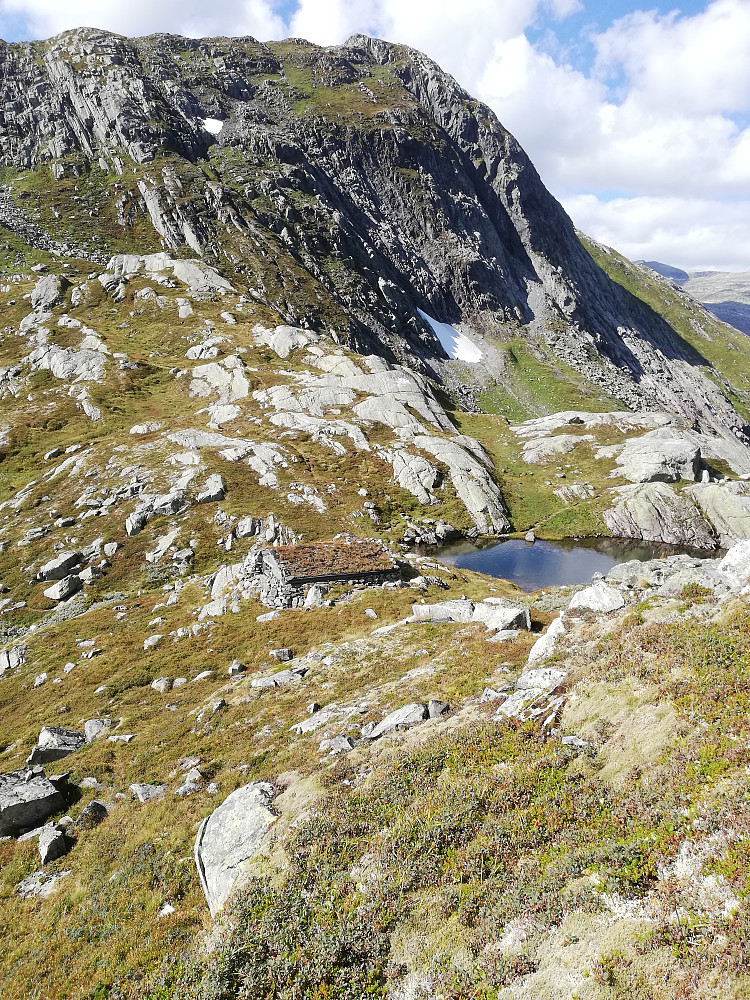 Vass skaret