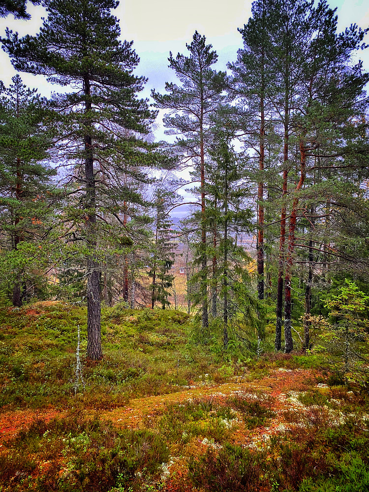 Engerberget
