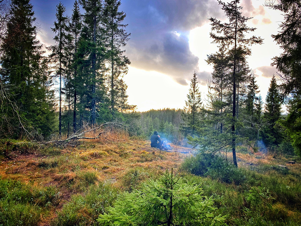 Linderudseterhøgdene