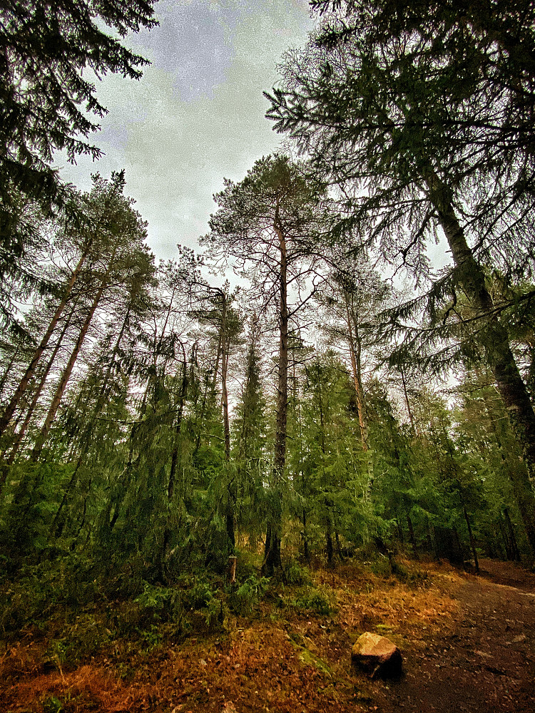 Emanuelfjell