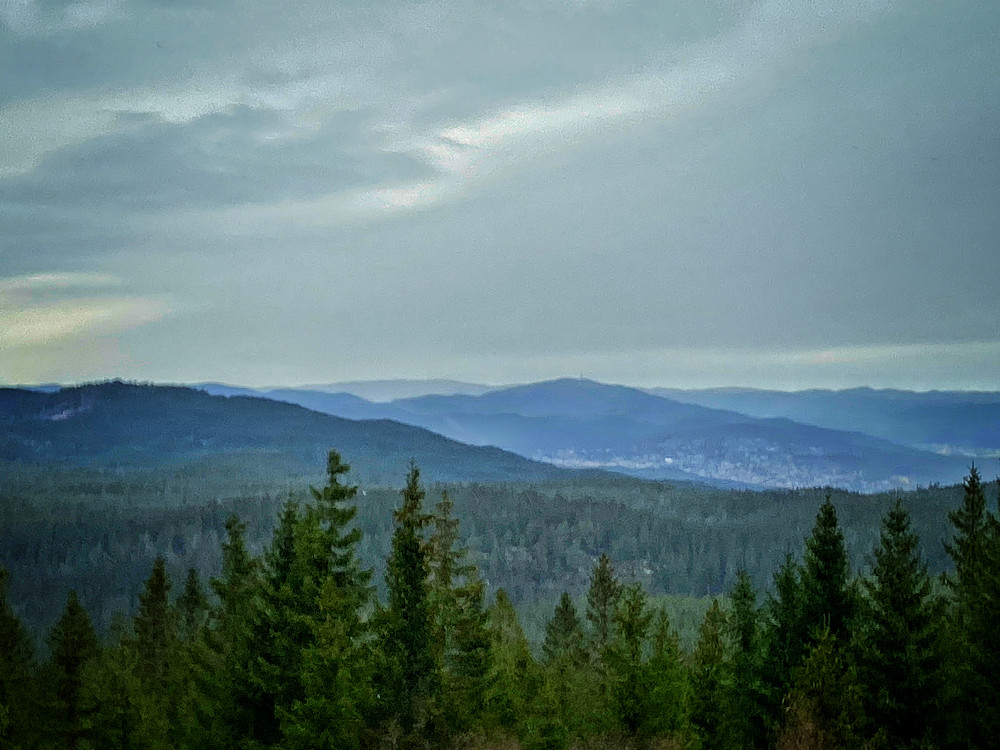 Røverkollen